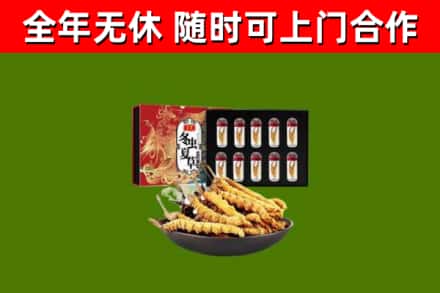神池烟酒回收冬虫夏草礼盒.jpg